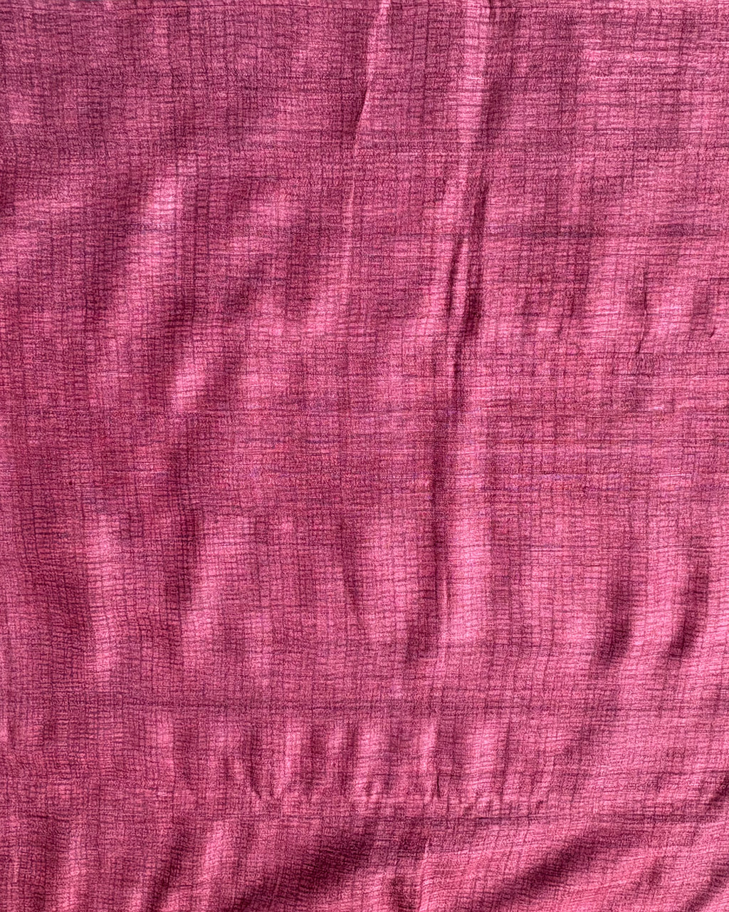 Beige Tussar Saree