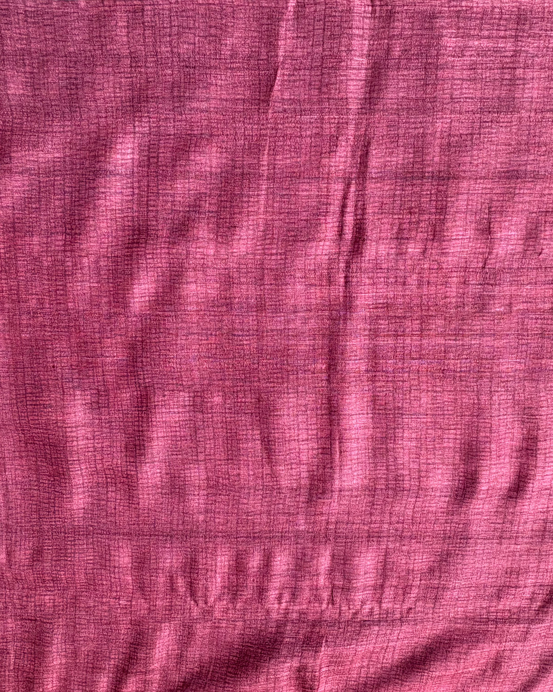 Beige Tussar Saree