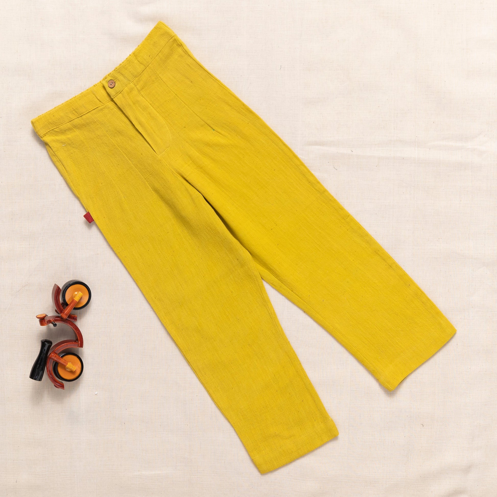 Pleated Pants